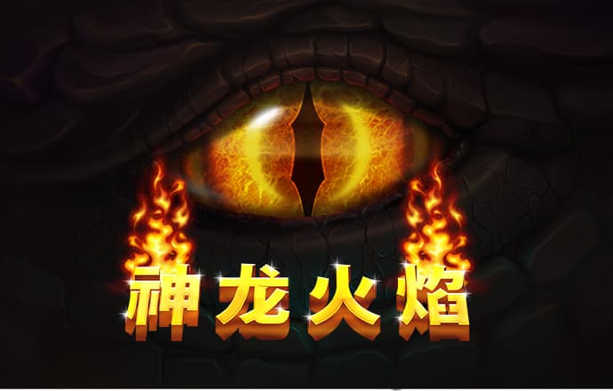 五五世纪官方网站